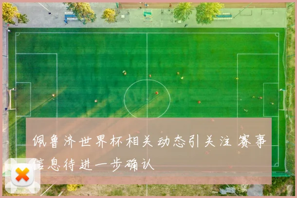 佩鲁济世界杯相关动态引关注 赛事信息待进一步确认