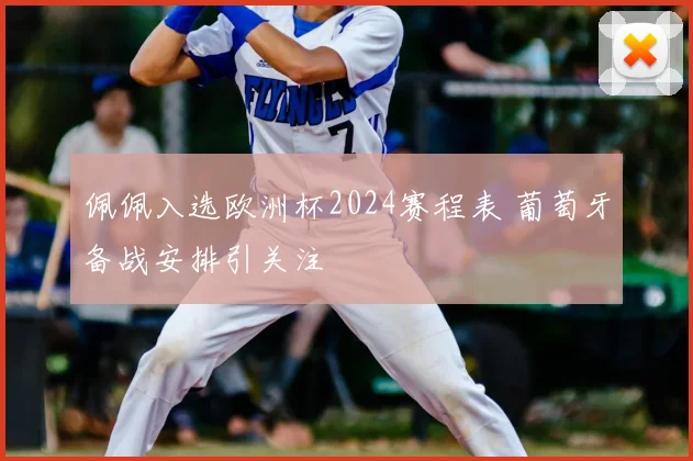 佩佩入选欧洲杯2024赛程表 葡萄牙备战安排引关注