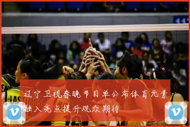 辽宁卫视春晚节目单公布体育元素融入亮点提升观众期待