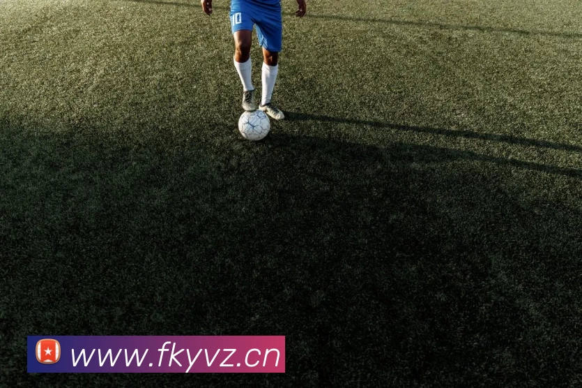 yy易游(中国)体育官方网站 - 米乐服务体系